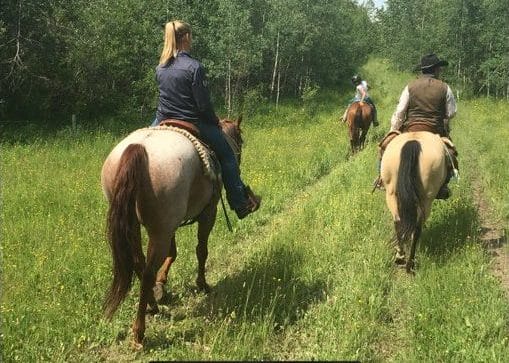 Trail Riding at Bear Creek Cabins