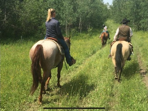 Trail Riding at Bear Creek Cabins