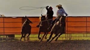 Nicole Team Roping