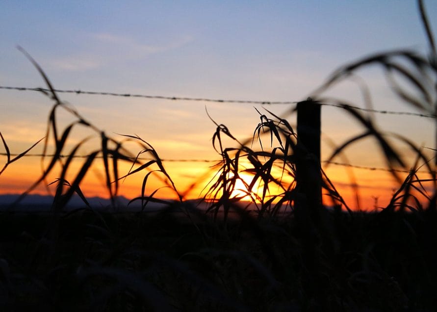 Sunset in Alberta Canada