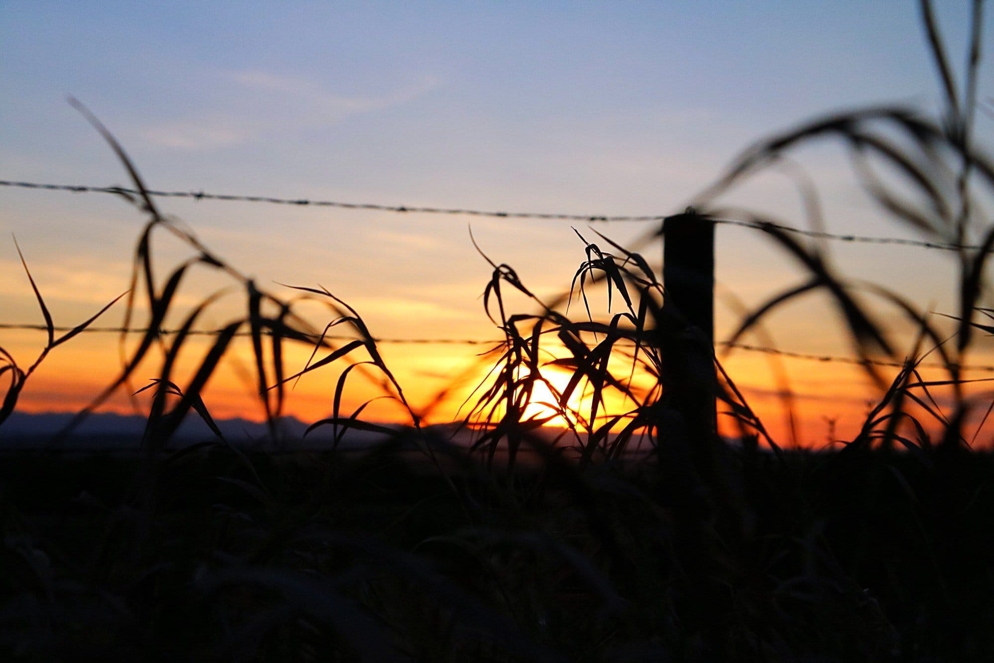 Sunset in Alberta Canada